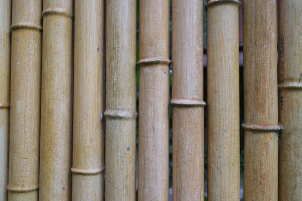 Bamboo Shaped Fence Made Plastic Photo — Foto de Stock