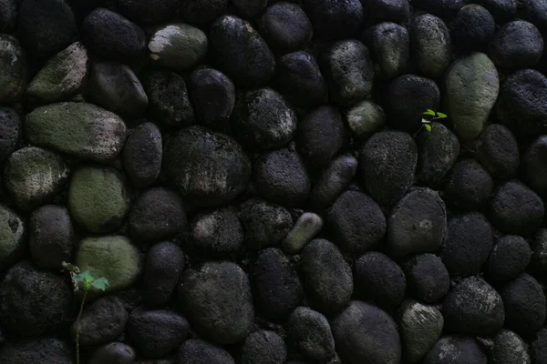きれいに配置された天然石の写真 — ストック写真