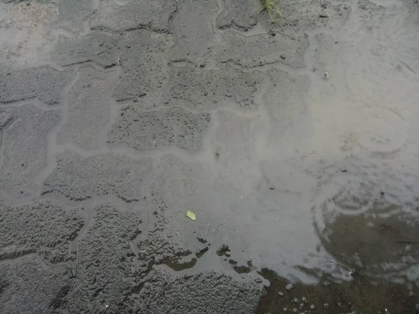 Islak Tuğla Kaldırım Fotoğrafı — Stok fotoğraf