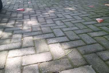 Tuğla yolu gölgeli bir ağacın altında.