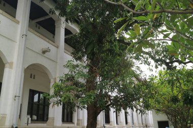 Semarang, Endonezya - 03 Aralık 2021: Semarang şehrinin merkezi Java Endonezya 'daki tarihi Lawang Sewu binasının önündeki ağacın editoryal görüntüsü