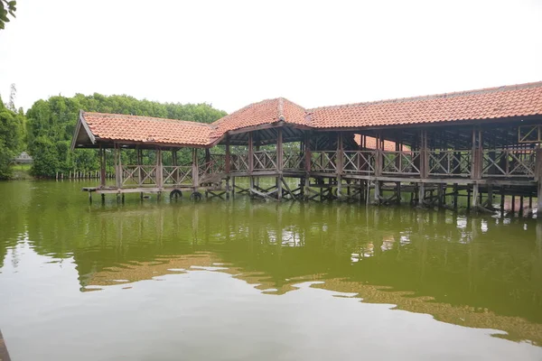 緑の水の写真がある沼の真ん中にある古い木造の建物 — ストック写真