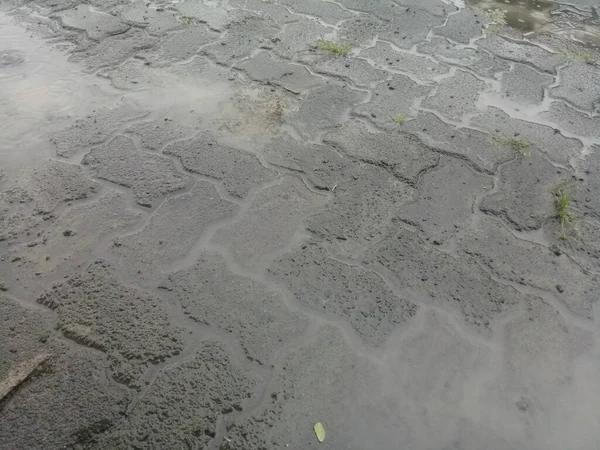 Batu Bata Basah Paving Foto Jalan — Stok Foto