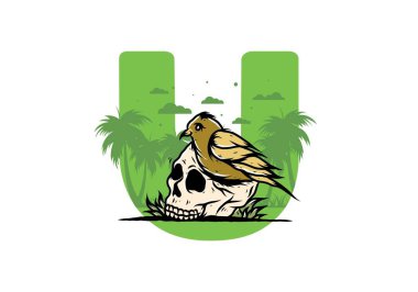 Kafatası illüstrasyon tasarımında kuş yuvası