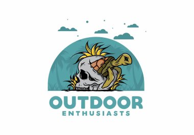 Kafatası şeklindeki deniz kaplumbağasının birkaç çimenli tasarımı.