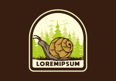 Büyük vahşi salyangoz orman çiziminde sürünüyor.