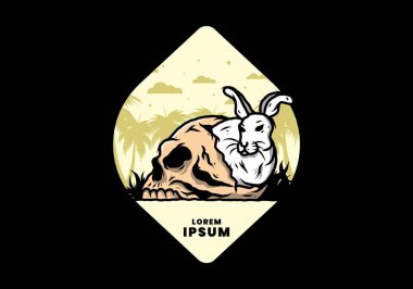 İnsan kafatasının içinde saklanan tavşan tasarımı.