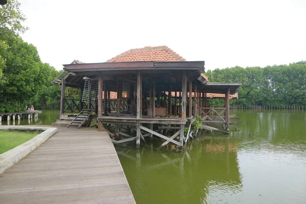 a photo of the Broken wooden building on the edge of a swamp with green water