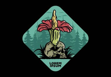 Kafatasında büyüyen cesedin tasarımı.