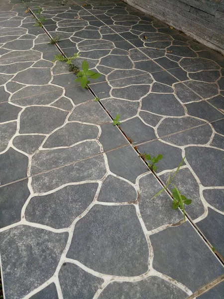 a photo of a ceramic floor with river stone texture in black with white lines