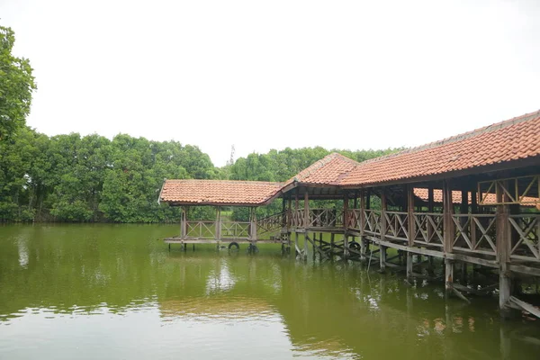 Foto Sebuah Bangunan Kayu Tengah Tengah Rawa Dengan Air Hijau — Stok Foto