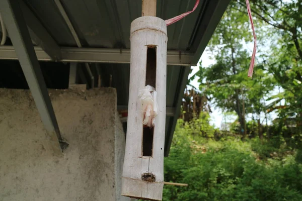 a photo of a simple communication tool from Indonesia called kentongan