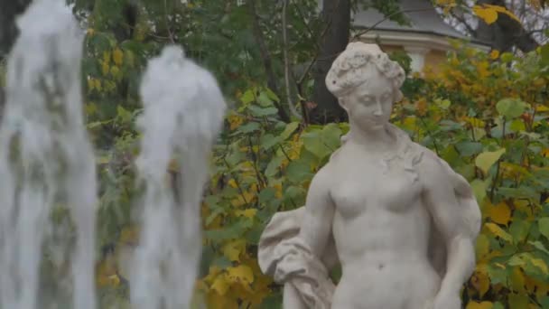 圣彼得堡 古董雕塑 夏日花园的喷泉 — 图库视频影像