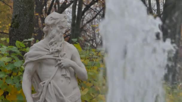 Petersburg Antique Sculpture Fountain Summer Garden — Stock Video