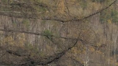 Füniküler, teleferik - dağ yolcusu taşımacılığı