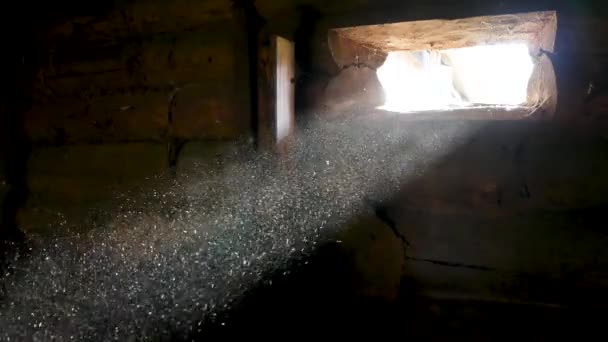 Dust Particles Beam Light — Stok Video
