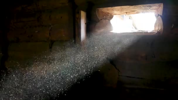 Dust Particles Beam Light — Vídeo de stock