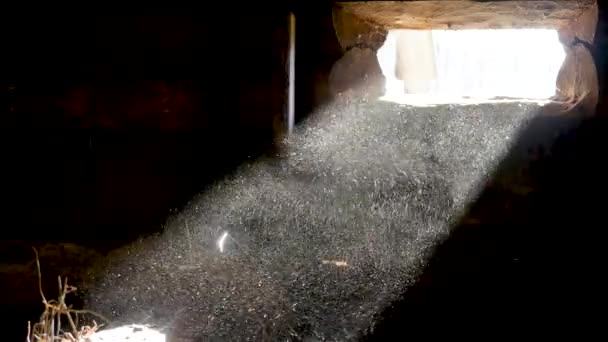 Dust Particles Beam Light — ストック動画