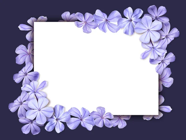 Квадратна Рама Фіолетових Квітів Hydrangea Flows Тарілка Вітальної Листівки Весілля — стокове фото