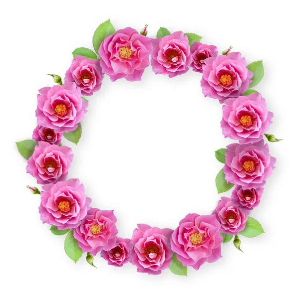 Рамка Квітів Рожевої Троянди Весілля Романтична Листівка Вітальна Листівка Фоторамка — стокове фото