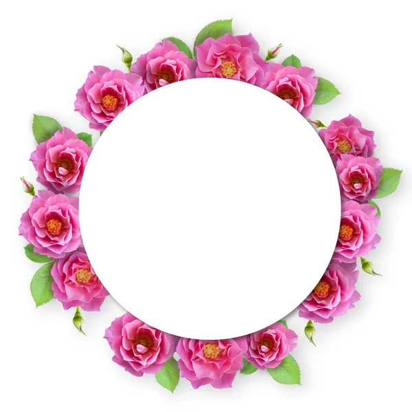 Рамка Квітів Рожевої Троянди Весілля Романтична Листівка Дизайн Валентинки Вітальна — стокове фото