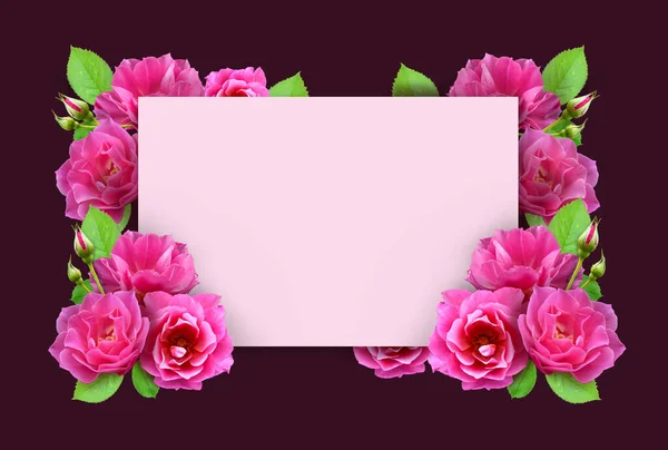 Квадратна Рама Рожевого Цвіту Розцвіла Квітами Тарілка Вітальної Листівки Весілля — стокове фото
