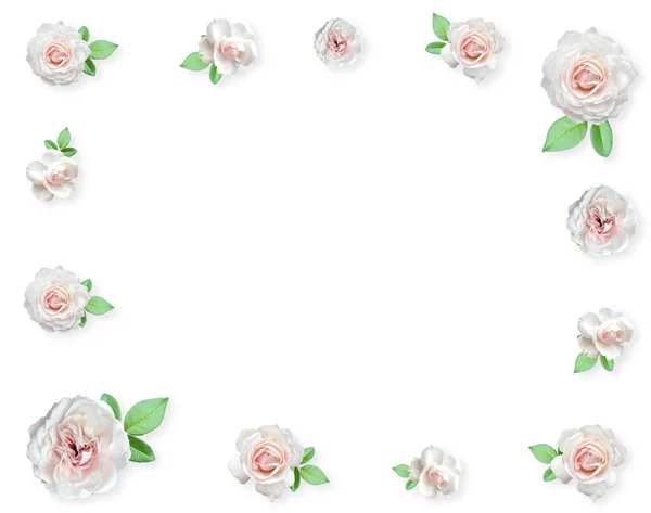 Аранжування Білих Троянд Квіткові Троянди Обрамляють Пастельний Фон День Матері — стокове фото