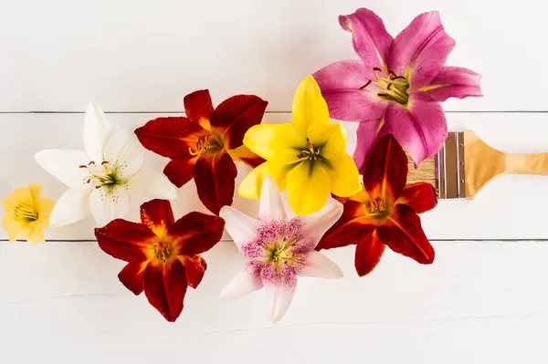Květinová Kreativní Aranžmá Zářivé Liliové Hlavy Bílém Dřevěném Pozadí Malířským — Stock fotografie
