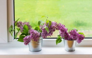 İki dekoratif demir kova ve penceresinde mor mor dallar.