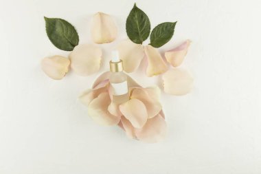 Beyaz matte kozmetik şişesi. Orijinal beyaz tabakta gül yaprakları var. Kişisel bakım konsepti. Damgasız mockap