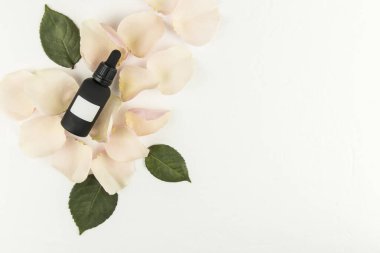 Kozmetik şişesinin üstünde koyu renkli cam bir pipet var. gül yaprakları, metin için kopyalama alanı olan beyaz arkaplan