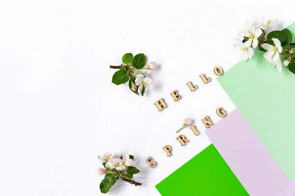 Hallo Frühling Hölzerne Buchstaben Auf Weißem Hintergrund Mit Frühlingsapfelblüten Und — Stockfoto