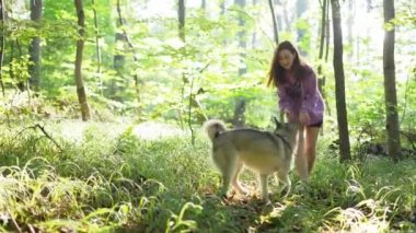 Genç bir kadın ormanda Sibirya köpeğiyle oynuyor.