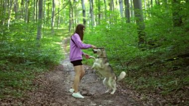 Genç bir kadın ormanda Sibirya köpeğiyle oynuyor.