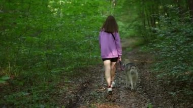 Genç bir kadın ormanda Sibirya köpeğiyle oynuyor.