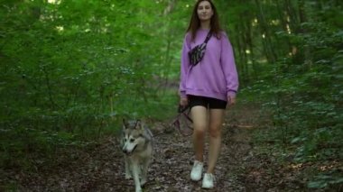 Genç bir kadın ormanda Sibirya köpeğiyle oynuyor.