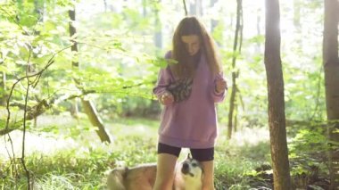 Genç bir kadın ormanda Sibirya köpeğiyle oynuyor.