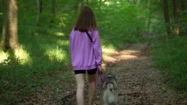 Genç bir kadın ormanda Sibirya köpeğiyle oynuyor.
