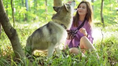 Genç bir kadın ormanda Sibirya köpeğiyle oynuyor.