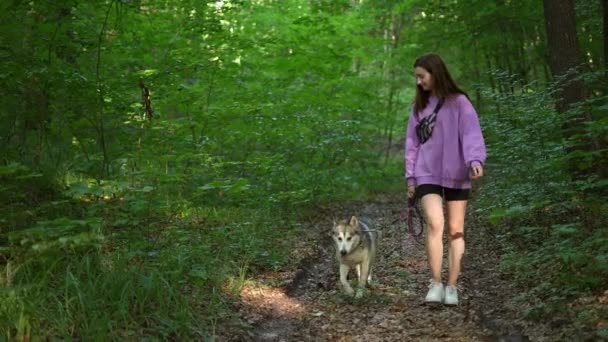 在森林里和小妖精哈士奇狗玩耍的年轻女人 — 图库视频影像