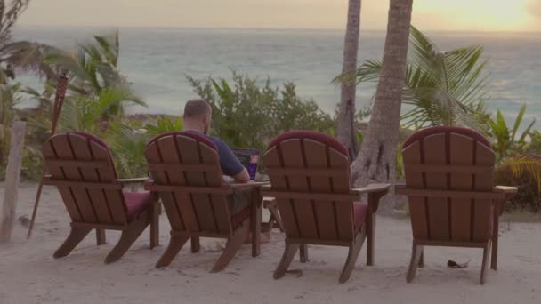 中4Kフリーの旅行者男性のショット日没とヤシの木と美しい海辺で屋外で働く彼のラップトップを使用して — ストック動画