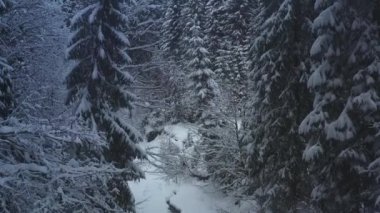 Dağ ormanlarının güzel kış manzarasının hava aracı görüntüsü