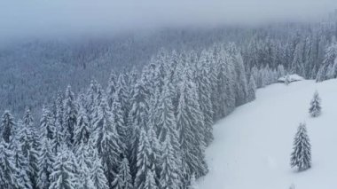 Dağ ormanlarının güzel kış manzarasının hava aracı görüntüsü