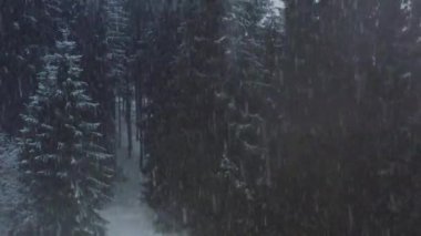 Dağ ormanlarının güzel kış manzarasının hava aracı görüntüsü