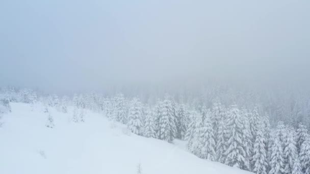 Vista Aérea Drones Del Hermoso Paisaje Invernal Del Bosque Montañas — Vídeos de Stock