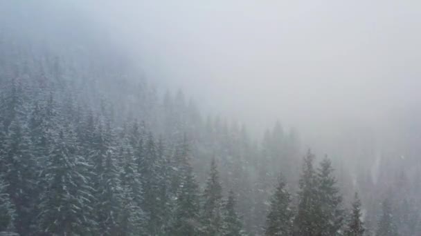 山の森の美しい冬の風景の空中ドローンビュー — ストック動画
