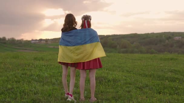 两名女孩拿着乌克兰国旗在田里观看日落 拍了四千多张照片 勇敢和独立的象征 与乌克兰站在一起 — 图库视频影像