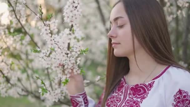 Vyshyvanka Güzel Ukraynalı Bir Kadının Pozu Ukrayna Ulusal Kıyafetleri Çiçek — Stok video