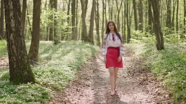 Wide Shot Young Beautiful Ukrainian Woman Vyshyvanka Ukrainian National Clothes — Stok video