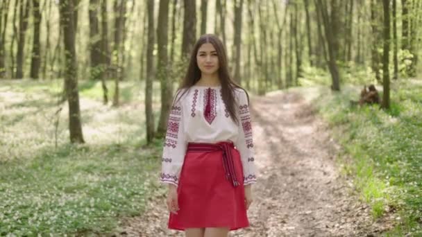 Vyshyvanka Güzel Ukraynalı Bir Kadının Pozu Ukrayna Ulusal Kıyafetleri Çiçek — Stok video